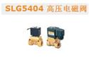 SLG5404 高压电磁阀